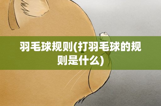 羽毛球规则(打羽毛球的规则是什么)