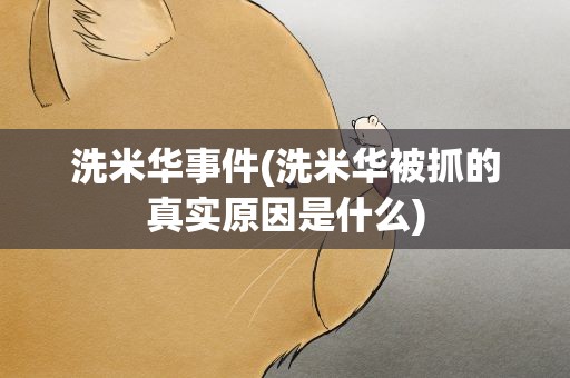 洗米华事件(洗米华被抓的真实原因是什么)
