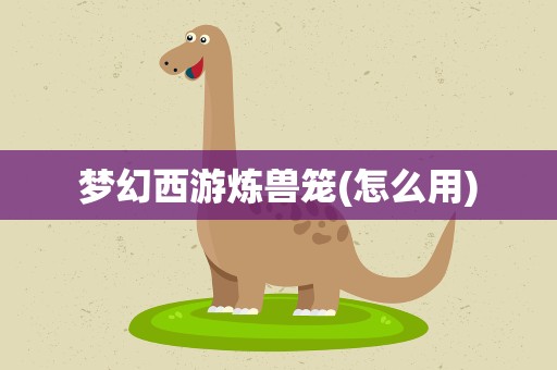 梦幻西游炼兽笼(怎么用)