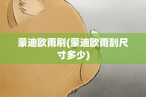 蒙迪欧雨刷(蒙迪欧雨刮尺寸多少)
