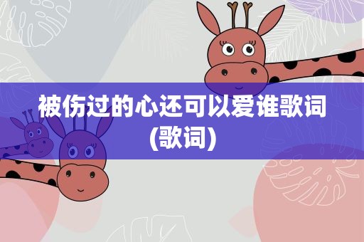 被伤过的心还可以爱谁歌词(歌词)