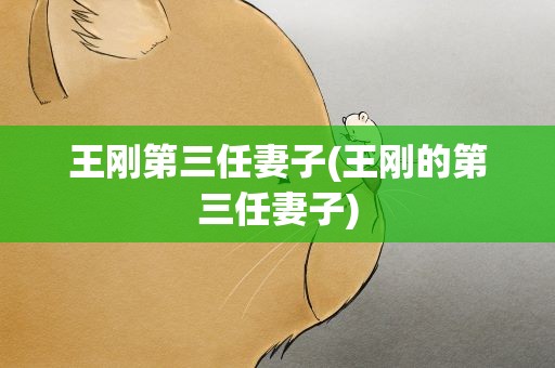 王刚第三任妻子(王刚的第三任妻子)