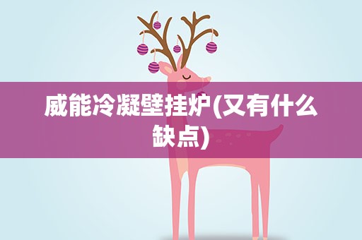 威能冷凝壁挂炉(又有什么缺点)