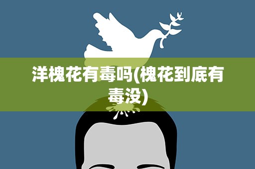 洋槐花有毒吗(槐花到底有毒没)