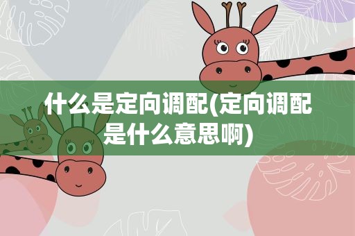 什么是定向调配(定向调配是什么意思啊)