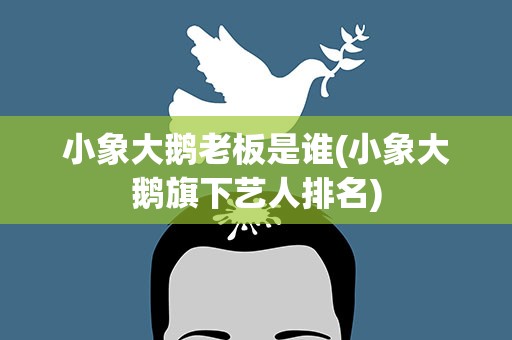小象大鹅老板是谁(小象大鹅旗下艺人排名)