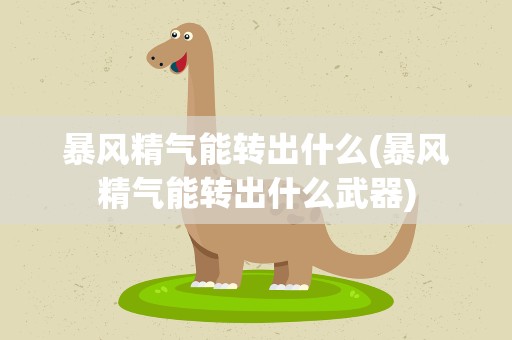 暴风精气能转出什么(暴风精气能转出什么武器)