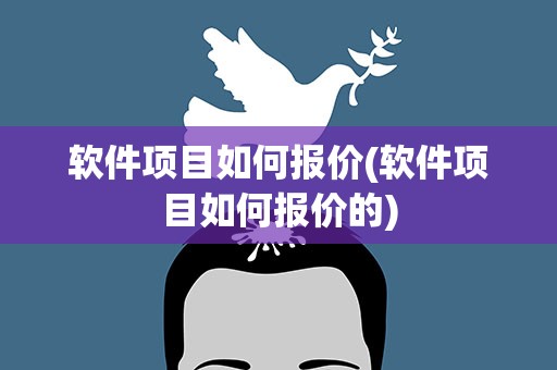 软件项目如何报价(软件项目如何报价的)