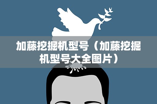 加藤挖掘机型号（加藤挖掘机型号大全图片）