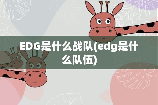 EDG是什么战队(edg是什么队伍)