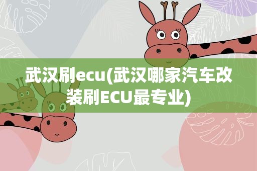 武汉刷ecu(武汉哪家汽车改装刷ECU最专业)