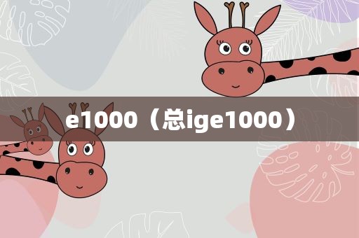 e1000（总ige1000）