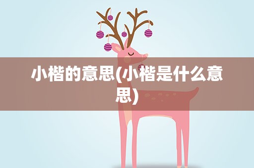 小楷的意思(小楷是什么意思)