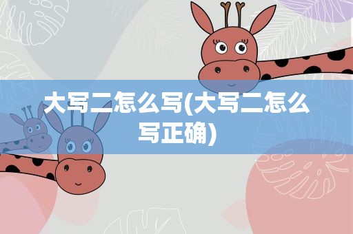 大写二怎么写(大写二怎么写正确)