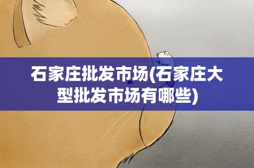 石家庄批发市场(石家庄大型批发市场有哪些)