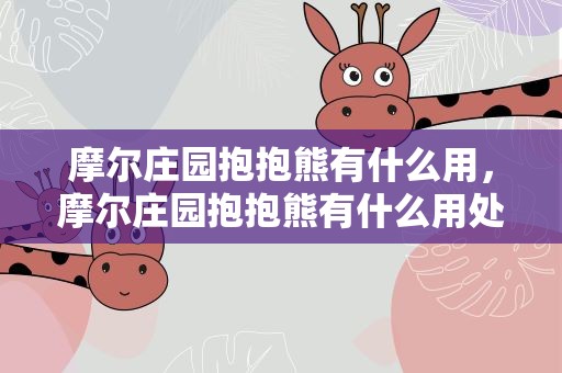 摩尔庄园抱抱熊有什么用，摩尔庄园抱抱熊有什么用处