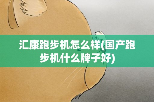 汇康跑步机怎么样(国产跑步机什么牌子好)