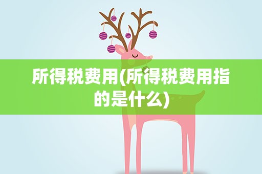 所得税费用(所得税费用指的是什么)