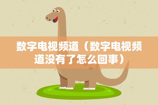 数字电视频道（数字电视频道没有了怎么回事）