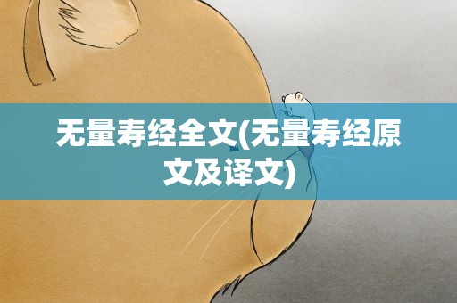 无量寿经全文(无量寿经原文及译文)
