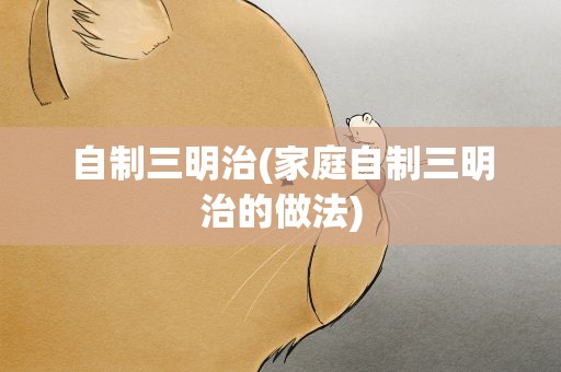 自制三明治(家庭自制三明治的做法)