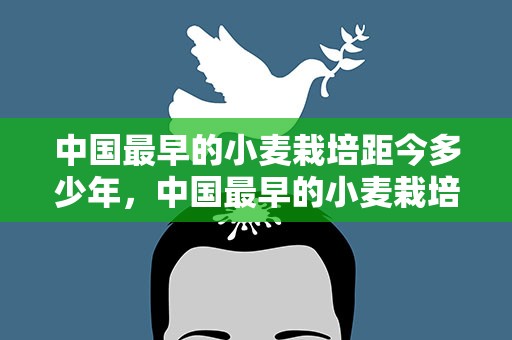 中国最早的小麦栽培距今多少年，中国最早的小麦栽培距今多少年了