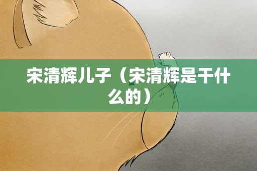宋清辉儿子（宋清辉是干什么的）