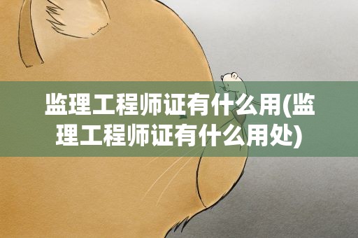 监理工程师证有什么用(监理工程师证有什么用处)