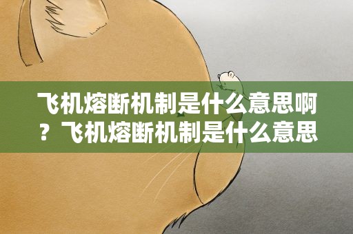 飞机熔断机制是什么意思啊？飞机熔断机制是什么意思啊英文