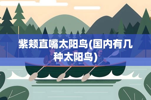 紫颊直嘴太阳鸟(国内有几种太阳鸟)