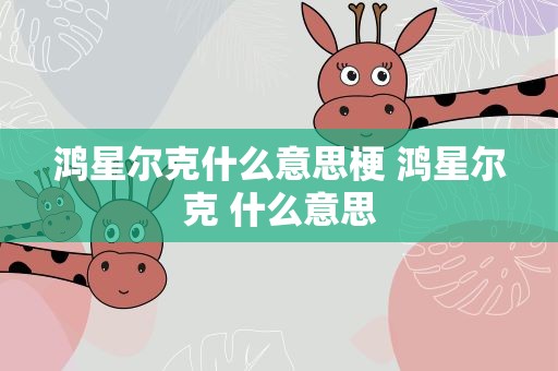 鸿星尔克什么意思梗 鸿星尔克 什么意思