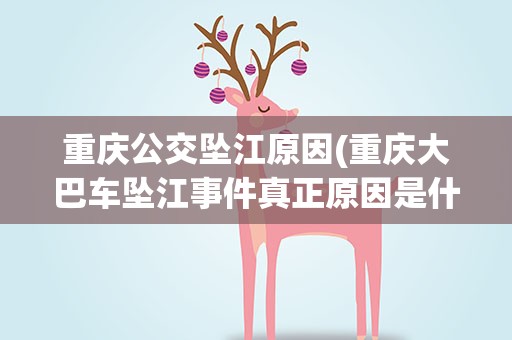 重庆公交坠江原因(重庆大巴车坠江事件真正原因是什么)