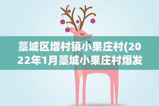 藁城区增村镇小果庄村(2022年1月藁城小果庄村爆发的疫情是什么病毒)