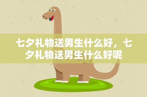 七夕礼物送男生什么好，七夕礼物送男生什么好呢
