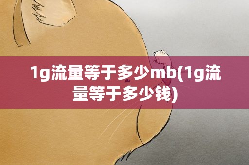 1g流量等于多少mb(1g流量等于多少钱)