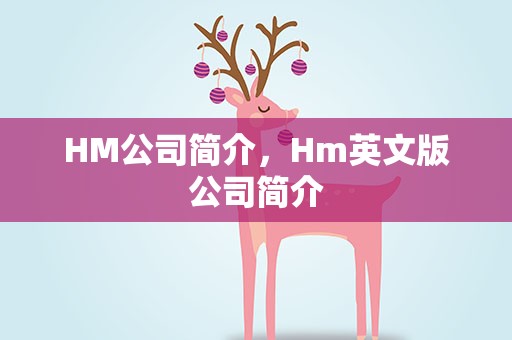 HM公司简介，Hm英文版公司简介