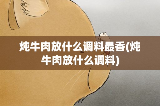 炖牛肉放什么调料最香(炖牛肉放什么调料)