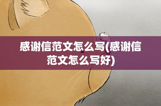 感谢信范文怎么写(感谢信范文怎么写好)