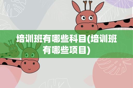 培训班有哪些科目(培训班有哪些项目)