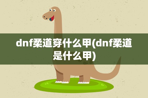 dnf柔道穿什么甲(dnf柔道是什么甲)