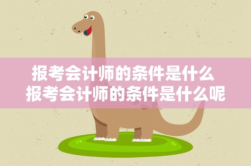 报考会计师的条件是什么 报考会计师的条件是什么呢