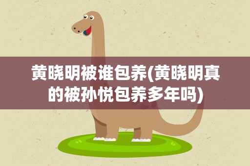 黄晓明被谁包养(黄晓明真的被孙悦包养多年吗)