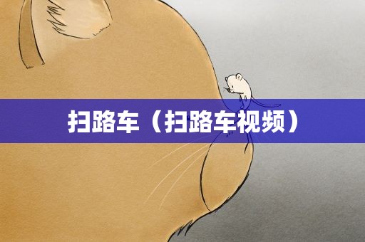 扫路车（扫路车视频）