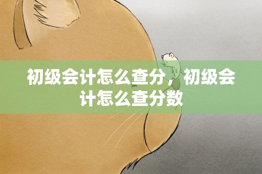 初级会计怎么查分，初级会计怎么查分数