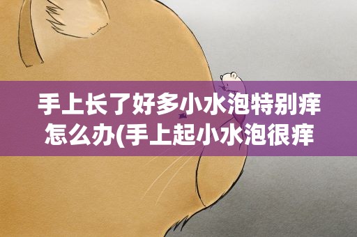 手上长了好多小水泡特别痒怎么办(手上起小水泡很痒怎么办)
