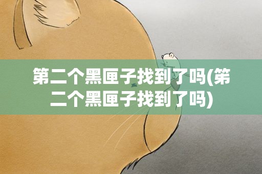 第二个黑匣子找到了吗(笫二个黑匣子找到了吗)