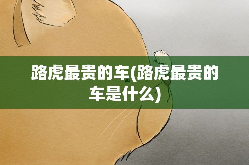 路虎最贵的车(路虎最贵的车是什么)