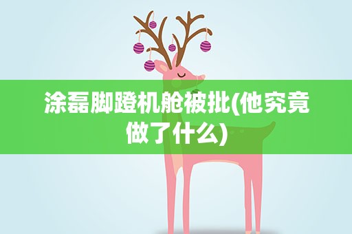涂磊脚蹬机舱被批(他究竟做了什么)
