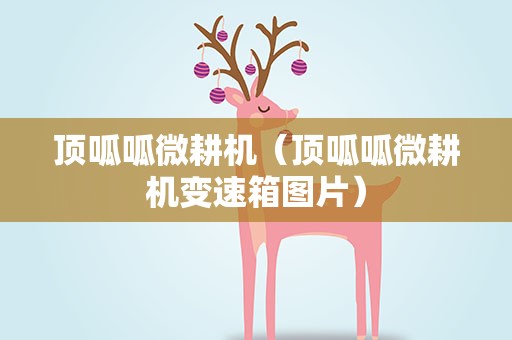 顶呱呱微耕机（顶呱呱微耕机变速箱图片）