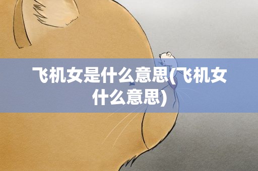 飞机女是什么意思(飞机女什么意思)